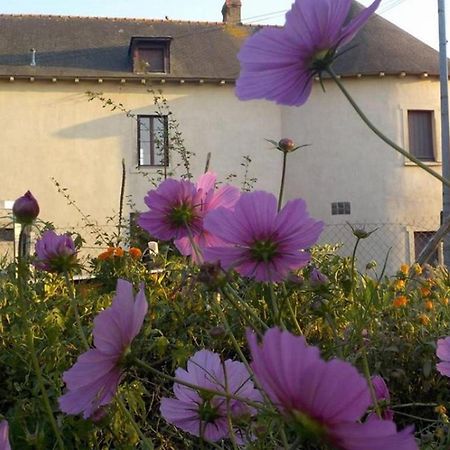 Manoir De La Guignardiere - Charme Et Douceur Chavagne Экстерьер фото