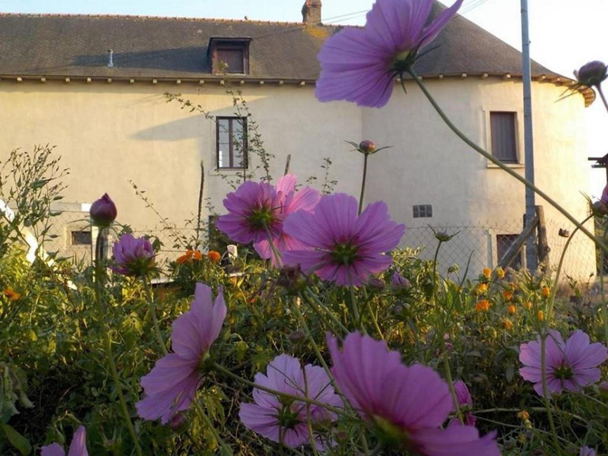 Manoir De La Guignardiere - Charme Et Douceur Chavagne Экстерьер фото