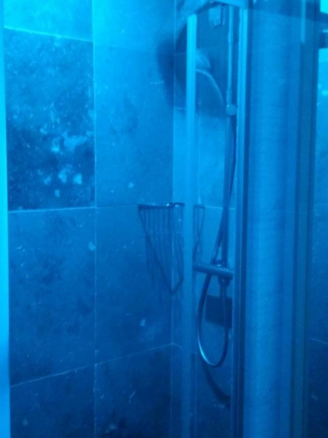 Manoir De La Guignardiere - Charme Et Douceur Chavagne Номер фото